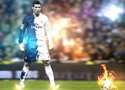 PG SOFT游戏-太阳引力定律，当凤凰城升起时，鹈鹕的羽翼注定被灼伤—拉梅洛的舞台，在聚光灯下野蛮生长